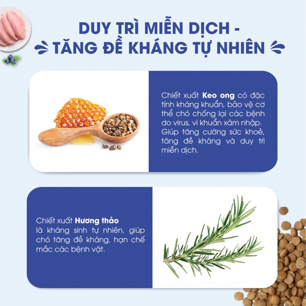 THỨC ĂN HẠT CHO CHÓ TRƯỞNG THÀNH DOG MANIA ADULT