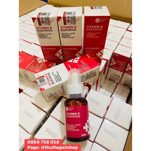 Vitamin B cho chó mèo (uống vào chó mèo ăn như heo)
