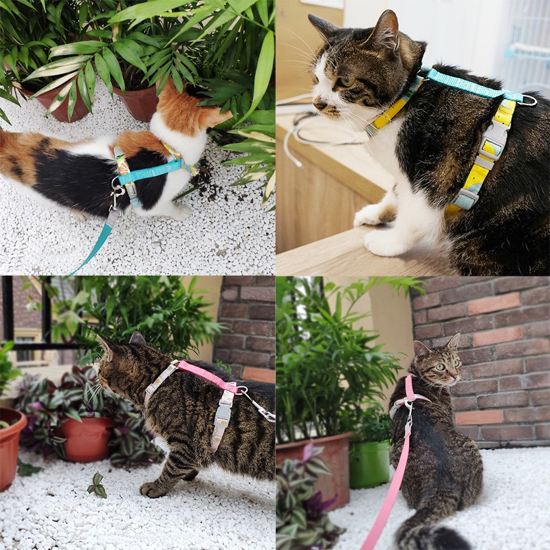 HamshMoc Dây Dắt Thú Cưng Đi Dạo Chất Liệu Nylon Mềm Mại Họa Tiết Hoa Hamsa Có Thể Điều Chỉnh