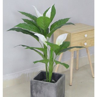 Cây lan ý - Cây giả decor trang trí không bao gồm chậu