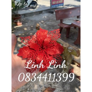 HOA KÉP TO 16cm