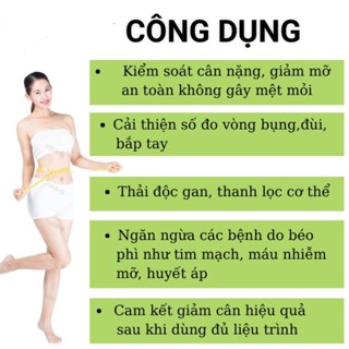 Trà thảo dược lá nam dùng thay nước uống hàng ngày, giúp giảm cân