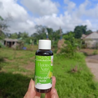 Dầu gội thảo mộc hương xưa từ bồ kết và thảo mộc cô đặc 50ml