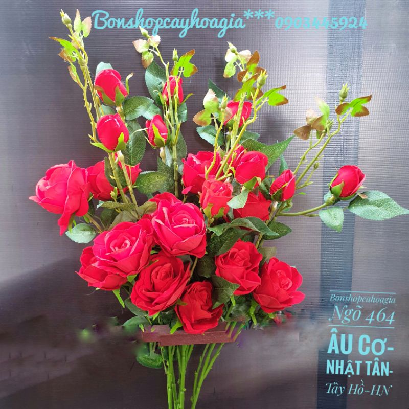 Cành hoa hồng nhung 3 bông,2 nụ nhiều lộc,cao 1m15.