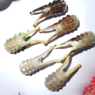 ốc sên thân dứa