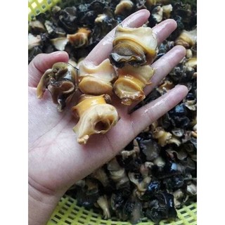 (HCM - CHỈ GIAO HỎA TỐC) Ruột ốc bươu 500gr