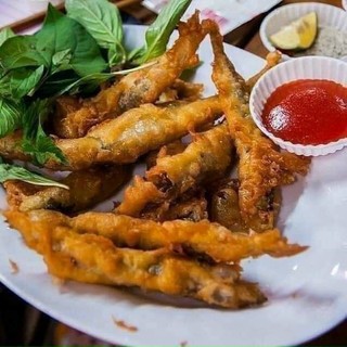 😋😋😋CÁ TRỨNG NAUY SIÊU SIÊU NGON😋😋😋