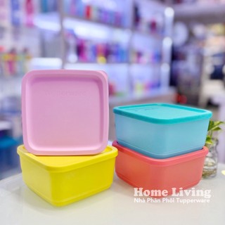 Bộ hộp bảo quản thực phẩm Small Summer Fresh 1 hộp