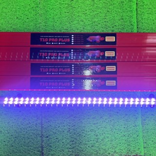  Đèn T10 Super Pro PLUS 4 Hàng Bóng 12000K - Đỏ Cá Không Đỏ Nước - Tanning Cá Rồng Huyết Long 