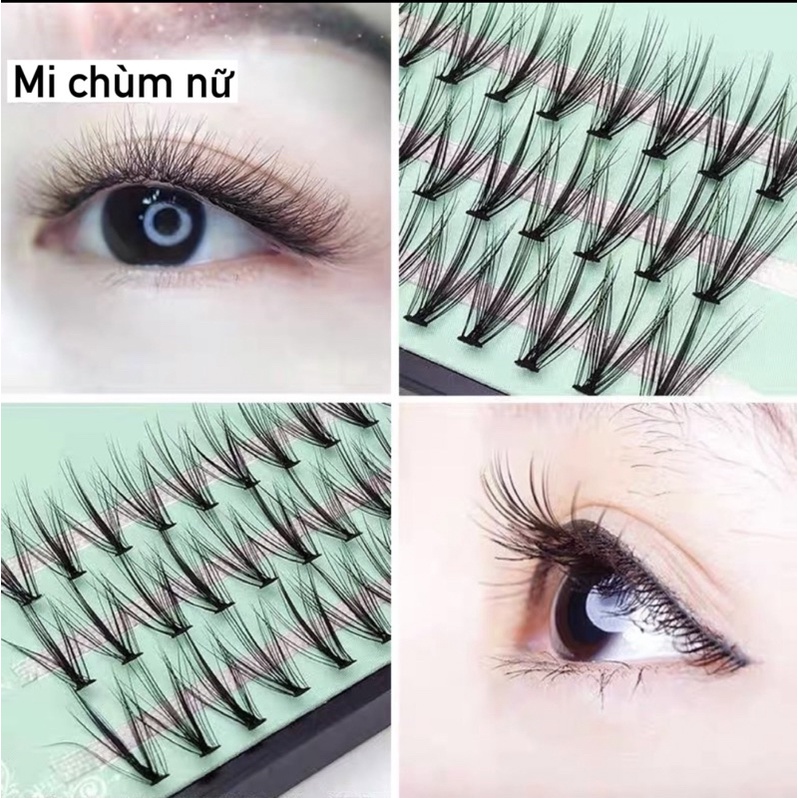 Mi chùm dán từng khóm nhỏ