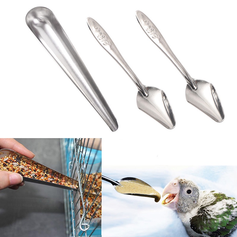 Combo Thìa xúc cám chim, gà, bồ câu tiện lợi chất liệu inox bền đẹp và Muỗng đút bột cho vẹt non