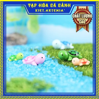Trang trí bể cá, rùa baby, tiểu cảnh bể cá, sen đá, terrarium, trang trí bể cá mini
