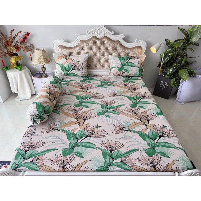 Bộ 4 drap/ga áo gối THUN LẠNH HÀN QUỐC