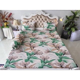 Bộ 4 drap/ga áo gối thun lạnh hàn quốc