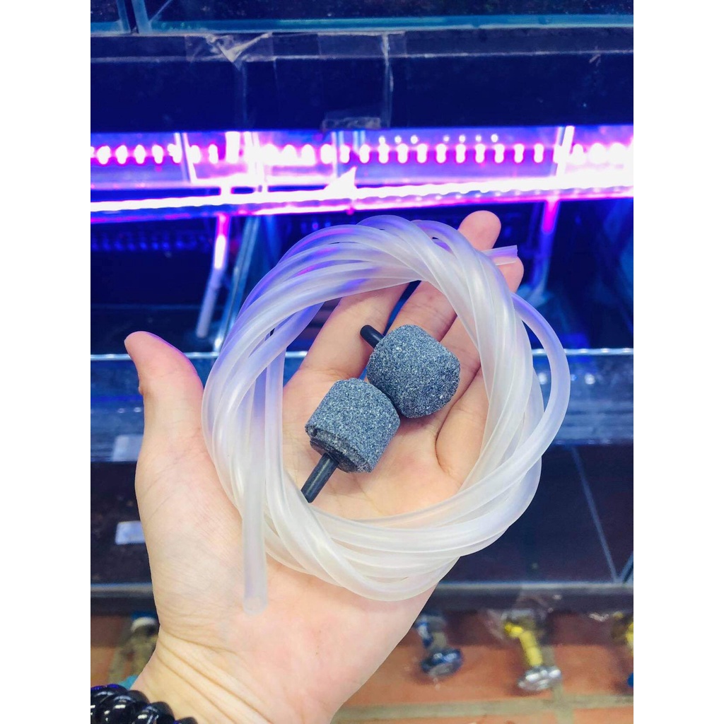 Máy sủi Oxi 1 vòi - 2 vòi RS-248A và RS-348A