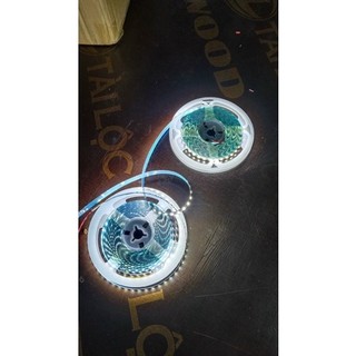 Cuộn 5m Led dây dán 2835 12V 120led (Ánh sáng vàng, trắng, trung tính)