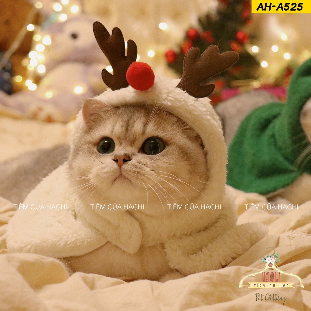 Áo choàng Giánh Sinh siêu cute cho thú cưng