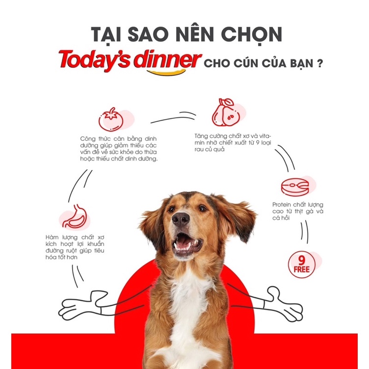 [ 1kg ] Thức ăn hạt Today’s Dinner cho chó 🐶