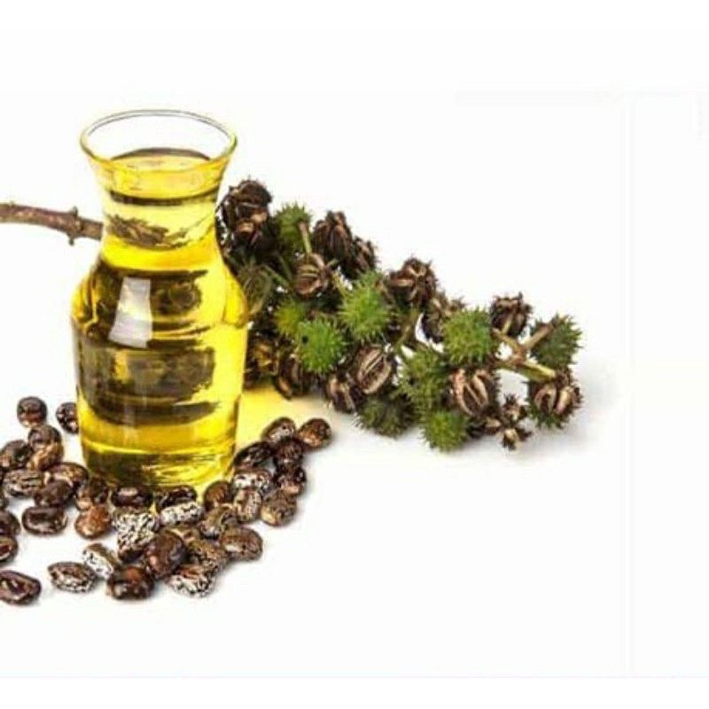 Dầu Dưỡng Da, Mi Hạt Thầu Dầu Castor oil Now Solutions