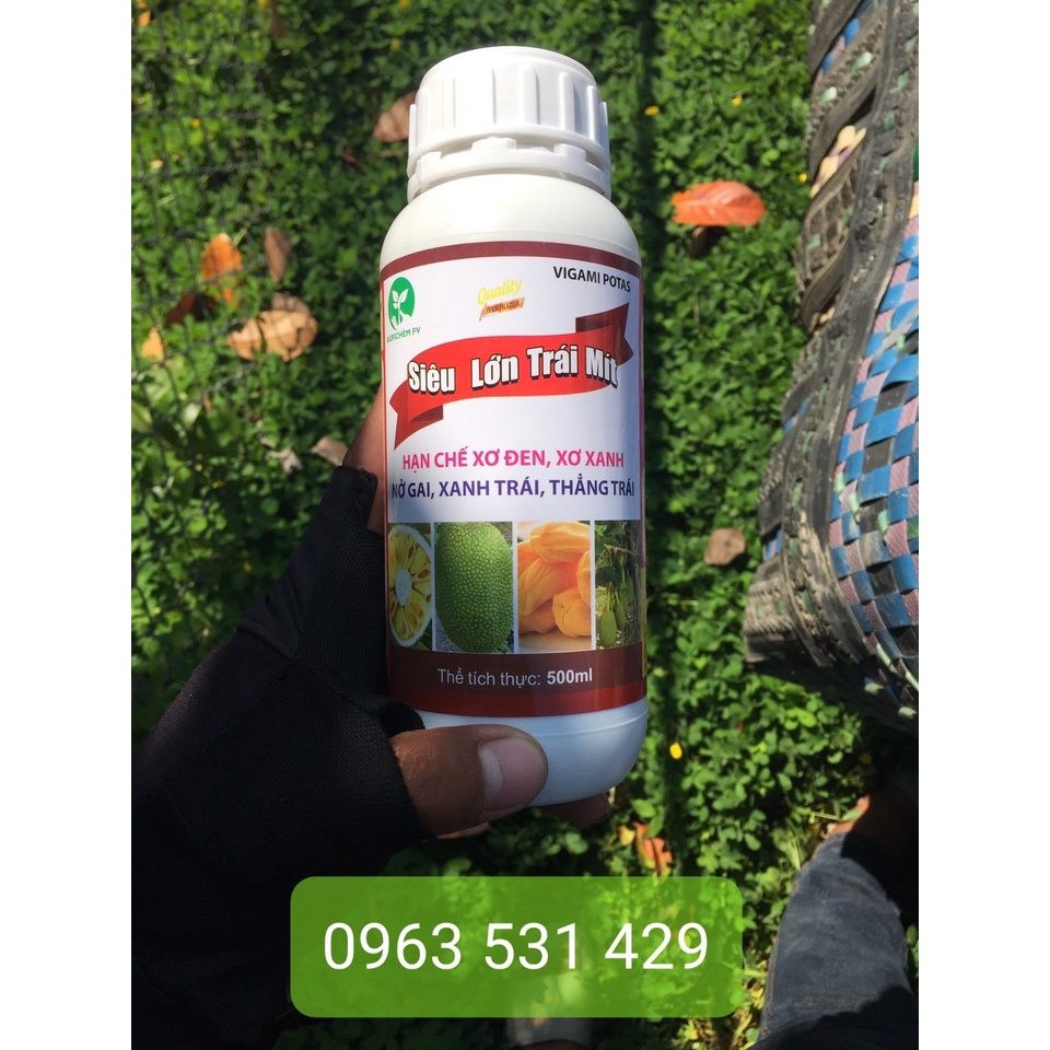 Siêu lớn trái Mít 500ml