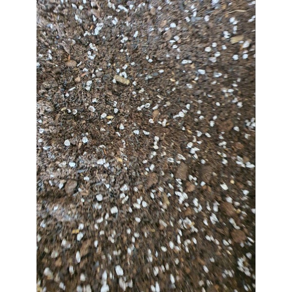 đá perlite (chân châu)