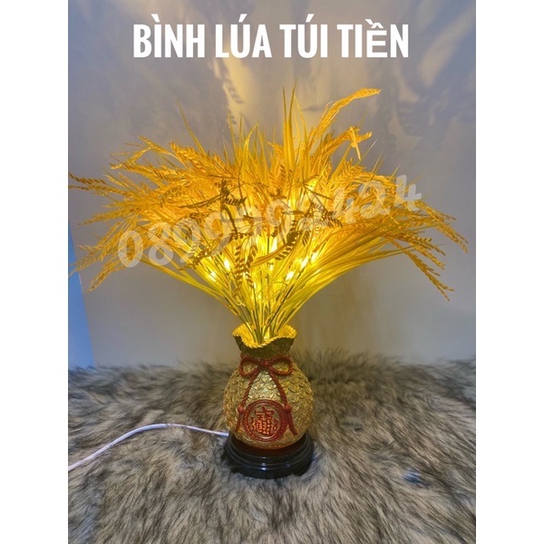 BÌNH BÔNG LÚA TÚI TIỀN VỀ HÀNG, BÌNH BÔNG LÚA TÚI TIỀN TRANG TRÍ NHÀ CỬA