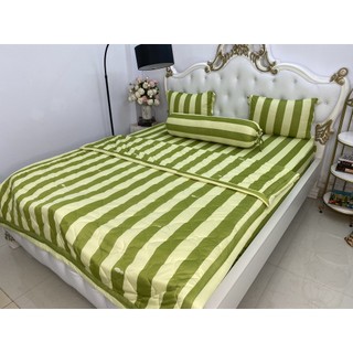 Bộ Ga Thun Hàn Quốc Mẫu Sọc