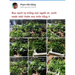 ĐẠM CÁ TẢO BIỂN NHẬT BẢN