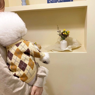 Áo len quả trám dành cho thú cưng