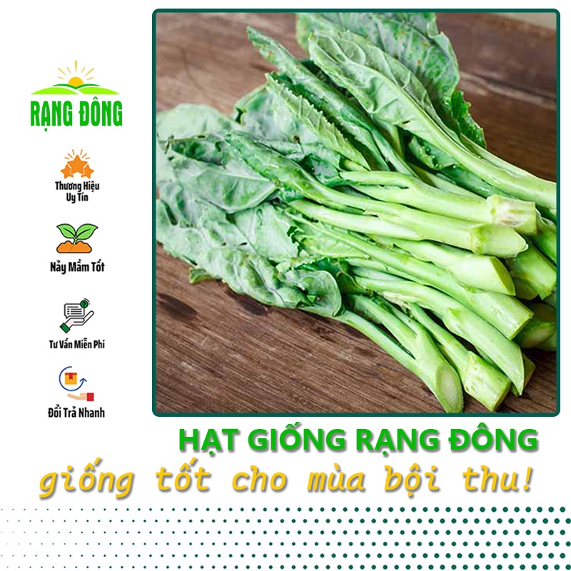 Hạt giống Cải Rổ trồng quanh năm, nảy mầm tốt, dễ chăm sóc, Hạt giống rau củ quả trồng chậu - Hạt giống Rạng Đông