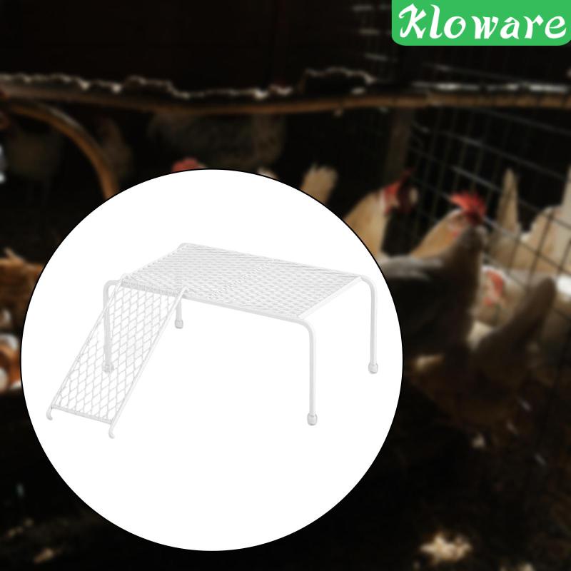 Khay Đựng Thức Ăn Cho Gà Tiện Dụng