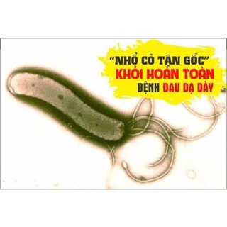 Dạ dày Phúc Nguyên