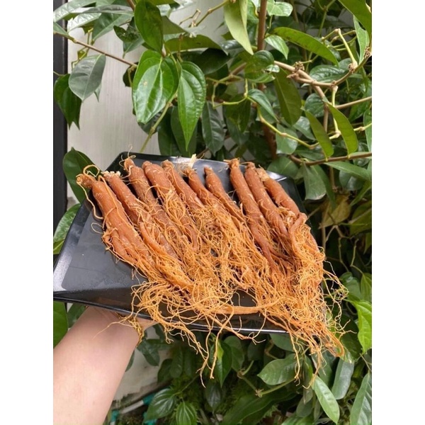 100gr Nhân sâm khô nguyên chất 100% hàng sấy dẻo