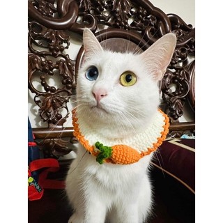 Yếm len cà rốt cho thú cưng (Ảnh shop tự chụp)