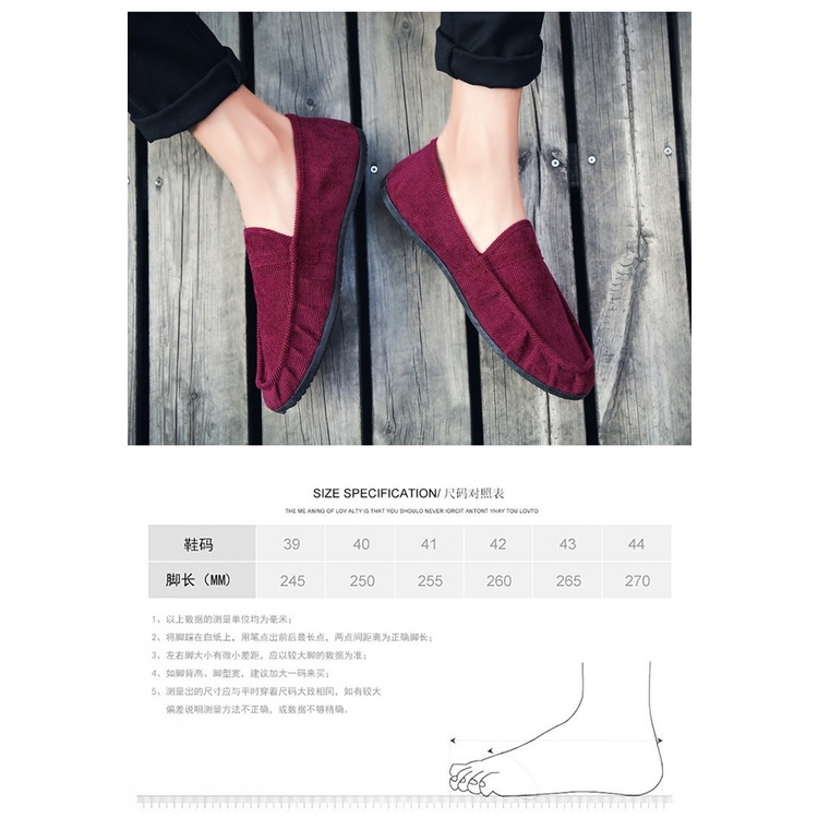 Giày Lười Vải Canvas Phong Cách Hàn Quốc Thời Trang Mùa Thu Cho Nam