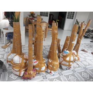 Cây Xoài thái