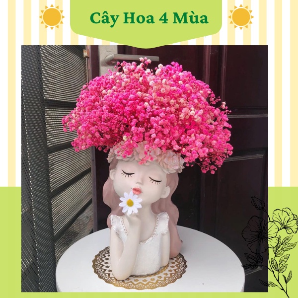 Lọ hoa decor chậu cô bé bằng nhựa giả sứ cao cấp cắm hoa khô, trồng sen đá cực xinh 27x18.5cm