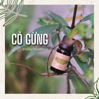 Tinh dầu cỏ gừng 10ml, 30ml tinh dầu thiên nhiên nguyên chất, farm & forest, lọc không khí, lưu thông máu huyết