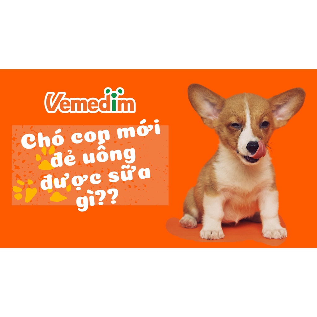 Sữa cho chó Vemedim canine milk 100g dễ tiêu hoá, sữa bột dinh dưỡng cún con sơ sinh Con Mèo Xiêm
