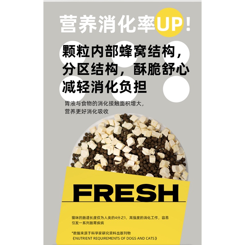 Hạt thức ăn cho mèo TEB! Z SERIES có topping gà sấy thơm ngon 2kg