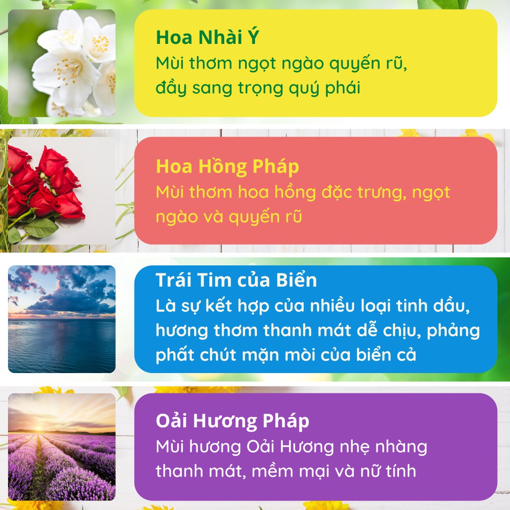 Tinh Dầu Thơm Phòng, Lọ Khuếch Tán, Nước Hoa Để Phòng, Thơm Phòng Ngủ, Thơm Nhà Thiên Nhiên KT37