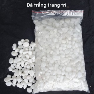 Đá sỏi trắng trang trí chậu cây, hồ cá | gói 1kg | size 1-3cm