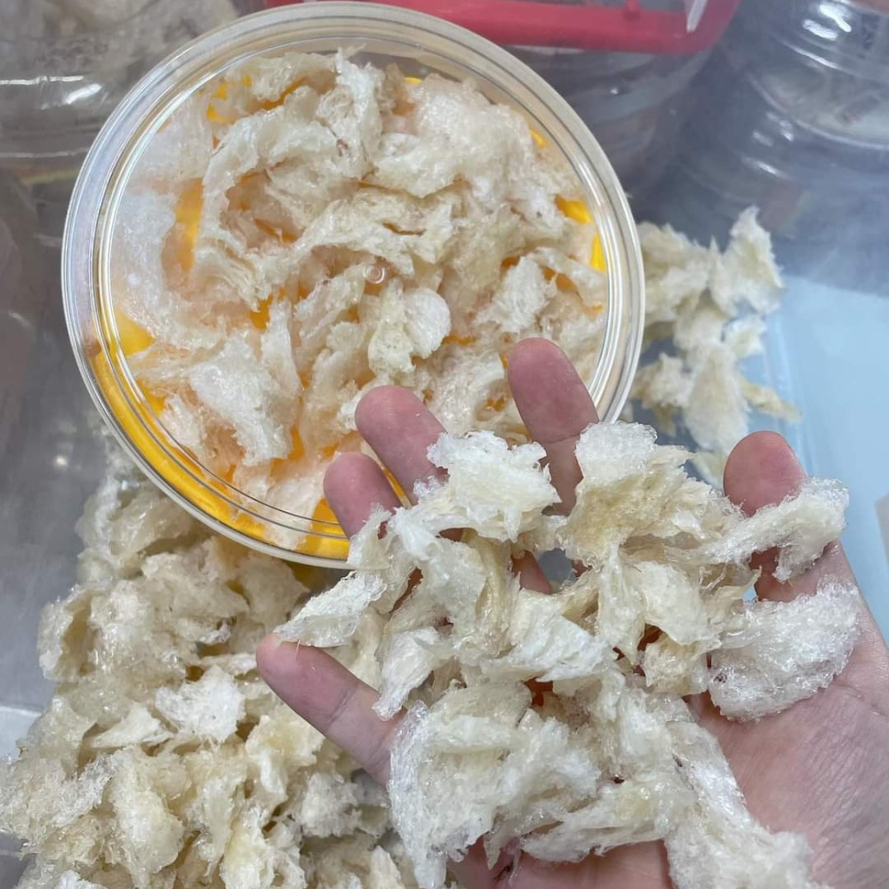 Tổ chân yến tinh chế Lamnest 100g- yensaocaocaplamnest