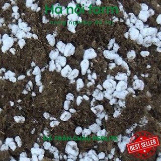 1kg đá trân châu perlite trồng cây