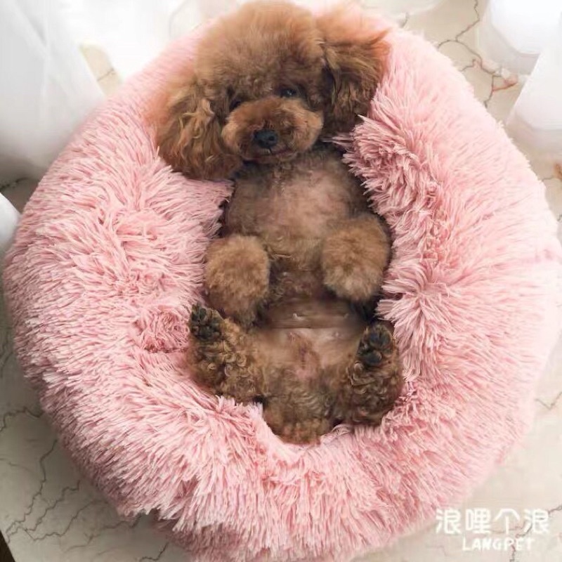 Đệm Ngủ Cao Cấp Cho Chó Mèo rẻ