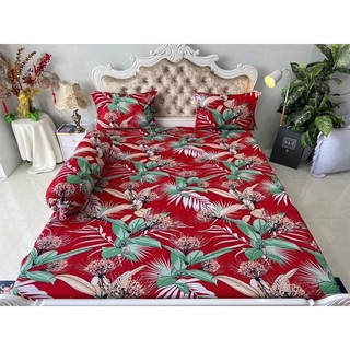 Bộ 4 drap/ga áo gối THUN LẠNH HÀN QUỐC