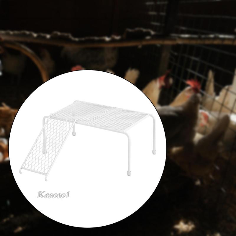 Khay Đựng Thức Ăn Cho Gà Tiện Dụng