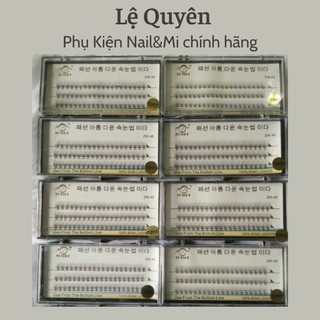 Mi Chùm Hàn Tơ