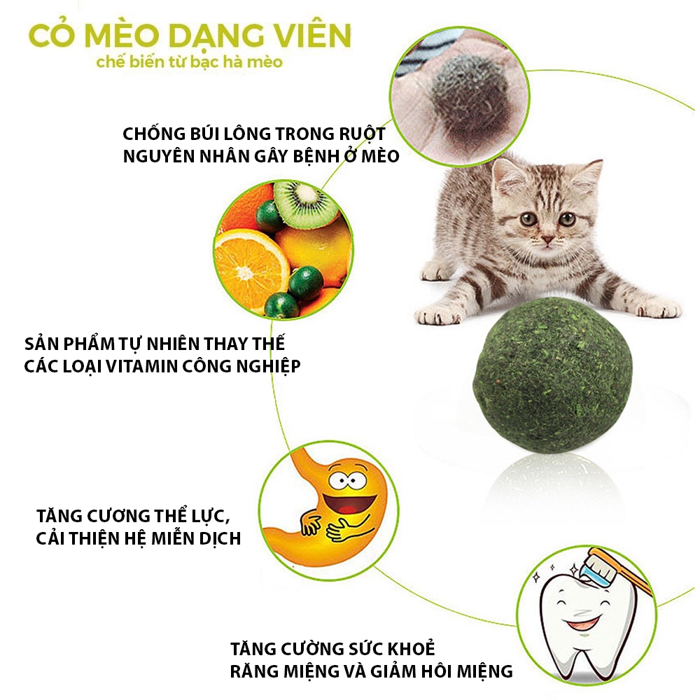 Catnip ball - Viên cỏ bạc hà cho mèo Masti 20g giúp mèo thư giãn, làm sạch răng
