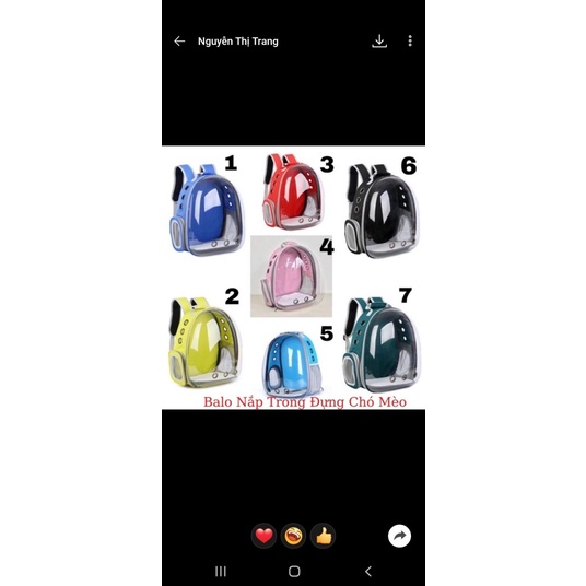 Balo mèo xanh dương vàng hồng